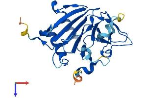 ALKBH6 Protein (AA 1-238) (His tag)