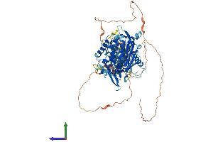 Protein Structure (PS) image for Adenosine Deaminase, RNA-Specific, B2 (ADARB2) (AA 1-739) protein (His tag) (ABIN7551371)