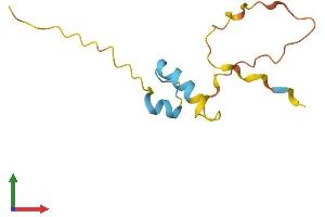 Protein Structure (PS) image for Late Cornified Envelope Like Proline Rich Protein 1 (LELP1) (AA 1-98) protein (His tag) (ABIN7548920)