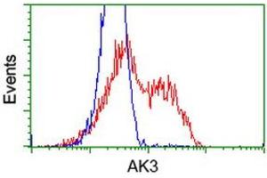 HEK293T cells transfected with either RC204408 overexpress plasmid (Red) or empty vector control plasmid (Blue) were immunostained by anti-AK3 antibody (ABIN2452716), and then analyzed by flow cytometry. (Adenylate Kinase 3 Antikörper)