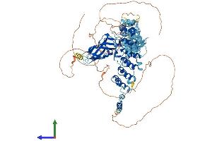 Protein Structure (PS) image for Nuclear Factor of kappa Light Polypeptide Gene Enhancer in B-Cells 1 (NFKB1) (AA 1-971) protein (His tag) (ABIN7563009)