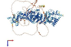 UBE4B Protein (AA 1-1302) (His tag)