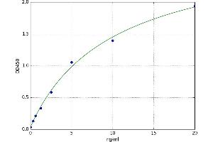 Adenosine A2b Receptor (ADORA2B) ELISA Kit