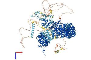 SF3B1 Protein (AA 1-1304) (His tag)