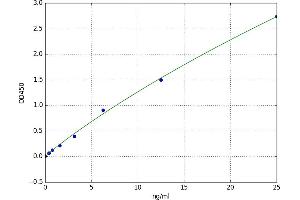 Protein Disulfide Isomerase Family A, Member 3 (PDIA3) ELISA Kit