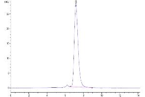 Size-exclusion chromatography-High Pressure Liquid Chromatography (SEC-HPLC) image for Interleukin 17 Receptor A (IL17RA) (AA 33-320) protein (His-Avi Tag,Biotin) (ABIN7275032)