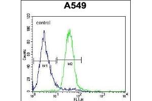C5AR1 Antibody (Center) (ABIN654658 and ABIN2844355) flow cytometric analysis of A549 cells (right histogram) compared to a negative control cell (left histogram). (C5AR1 Antikörper  (AA 175-201))