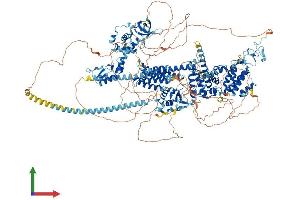 AlphaFold protein structure predicition of Mouse Recombinant Baz1a Protein, UniprotID O88379