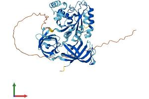 Protein Structure (PS) image for G1 To S Phase Transition 1 (GSPT1) (AA 1-499) protein (His tag) (ABIN7547455)