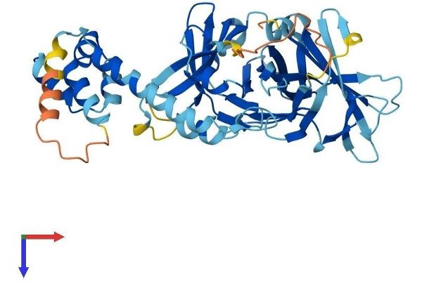 FBXO15 Protein (AA 1-433) (His tag)