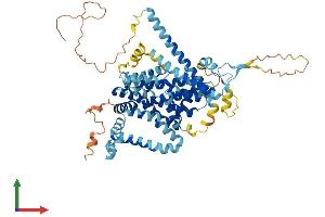 Protein Structure (PS) image for Solute Carrier Family 34 (Sodium Phosphate), Member 3 (SLC34A3) (AA 1-599) protein (His tag) (ABIN7549844)