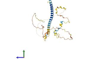 AlphaFold protein structure predicition of Mouse Recombinant Prr7 Protein, UniprotID Q3V0I2