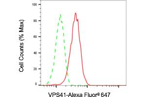 Flow cytometric analysis of VPS41 expression in H9c2 cells using VPS41 antibody (ABIN7800815), 1:2,000). (Rekombinanter VPS41 Antikörper)
