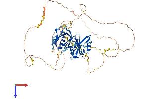 SH3BP2 Protein (AA 1-561) (His tag)