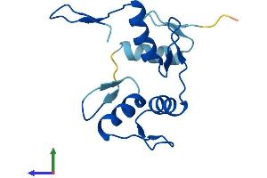 AlphaFold protein structure predicition of Human Recombinant ZNF702P Protein, UniprotID Q9H963