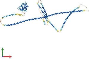 Protein Structure (PS) image for Hook Homolog 2 (HOOK2) (AA 1-719) protein (His tag) (ABIN7554123)
