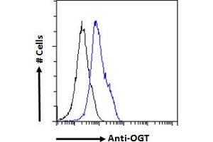 Flow Cytometry (FACS) image for anti-O-Linked N-Acetylglucosamine (GlcNAc) Transferase (UDP-N-Acetylglucosamine:polypeptide-N-Acetylglucosaminyl Transferase) (OGT) (Internal Region) antibody (ABIN190863)