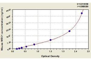 Typical standard curve
