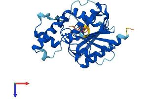 AlphaFold protein structure predicition of Human Recombinant OLAH Protein, UniprotID Q9NV23