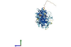 Protein Structure (PS) image for Exostoses (Multiple)-Like 3 (EXTL3) (AA 1-919) protein (His tag) (ABIN7553826)