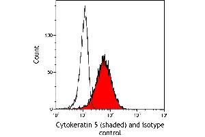 Flow Cytometry (FACS) image for anti-Keratin 5 (KRT5) (C-Term) antibody (ABIN7795755) (Rekombinanter Cytokeratin 5 Antikörper  (C-Term))