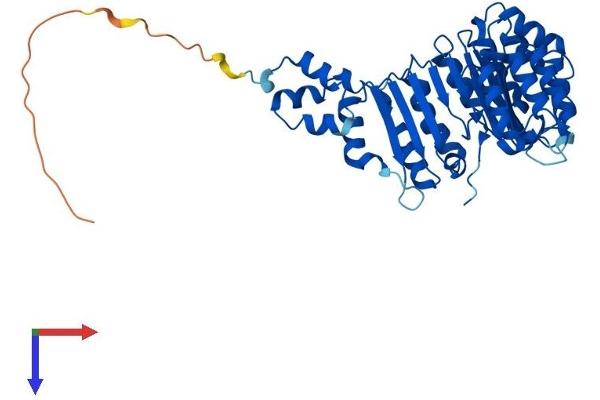 FBXL3 Protein (AA 1-428) (His tag)