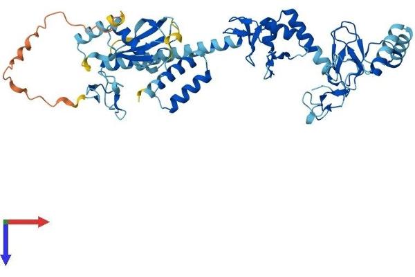 RBCK1 Protein (AA 1-510) (His tag)
