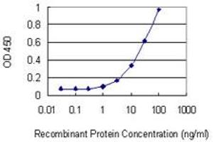 Detection limit for recombinant GST tagged PENK is 1 ng/ml as a capture antibody. (Enkephalin Antikörper  (AA 1-267))