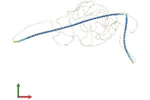 Protein Structure (PS) image for Microtubule Associated Tumor Suppressor 1 (MTUS1) (AA 1-1210) protein (His tag) (ABIN7563820)