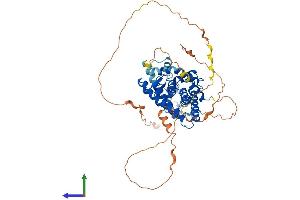 Protein Structure (PS) image for Retinoid X Receptor, beta (RXRB) (AA 1-520) protein (His tag) (ABIN7563062)
