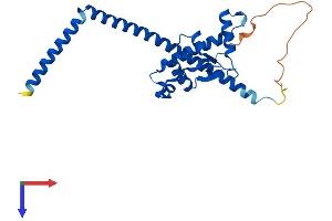 SKA1 Protein (AA 1-254) (His tag)
