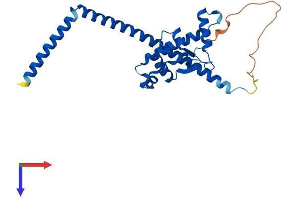 SKA1 Protein (AA 1-254) (His tag)