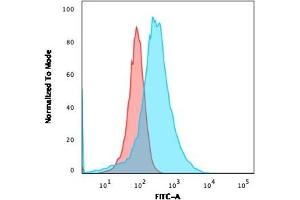 Flow Cytometric Analysis of PFA-fixed HeLa cells using Annexin A1 Mouse Monoclonal Antibody (ANXA1/3566) followed by goat anti-Mouse IgG-CF488 (Blue); Isotype Control (Red). (Annexin a1 Antikörper)