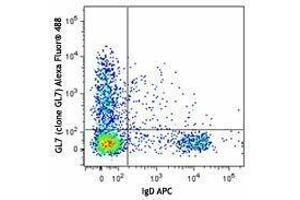 anti-T and B cell Activation Marker antibody (Alexa Fluor 488)