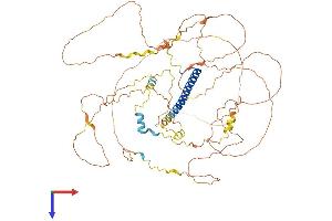 CRTC3 Protein (AA 1-619) (His tag)