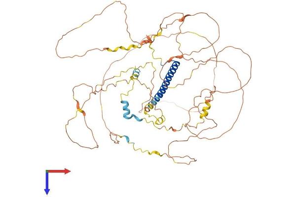 CRTC3 Protein (AA 1-619) (His tag)