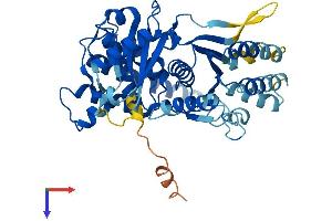 TRIP13 Protein (AA 1-432) (His tag)