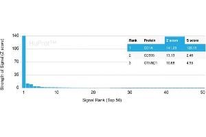 Analysis of Protein Array containing more than 19,000 full-length human proteins using CD1a-Monospecific Recombinant Rabbit Monoclonal Antibody (C1A/1506R) Z- and S- Score: The Z-score represents the strength of a signal that a monoclonal antibody (Monoclonal Antibody) (in combination with a fluorescently-tagged anti-IgG secondary antibody) produces when binding to a particular protein on the HuProtTM array. (Rekombinanter CD1a Antikörper)