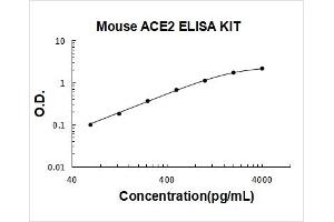 Mouse ACE2 PicoKine ELISA Kit standard curve