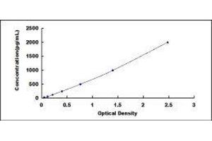 ELISA image for Adiponectin (ADIPOQ) ELISA Kit (ABIN3163832) (ADIPOQ ELISA Kit)