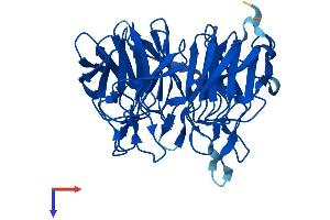KLHDC8A Protein (AA 1-350) (His tag)