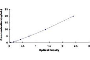 Typical standard curve (CACNA1C ELISA Kit)