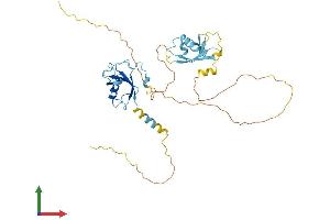 Protein Structure (PS) image for Doublecortin (DCX) (AA 1-366) protein (His tag) (ABIN7562662)