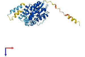 GPN3 Protein (AA 1-284) (His tag)
