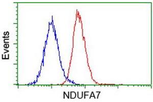Flow Cytometry (FACS) image for anti-NADH Dehydrogenase (Ubiquinone) 1 alpha Subcomplex, 7, 14.5kDa (NDUFA7) antibody (ABIN1499661) (NDUFA7 Antikörper)