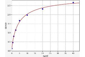 PEPD ELISA Kit