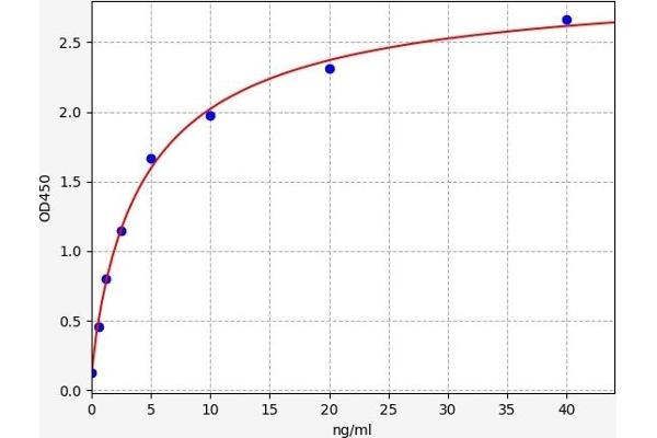 PEPD ELISA Kit