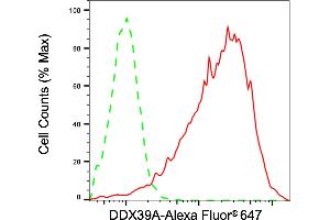 Flow cytometric analysis of DDX39A expression in HepG2 cells using DDX39A antibody (ABIN7798287), 1:2,000).