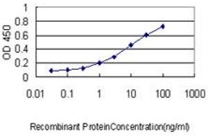 Detection limit for recombinant GST tagged POLA2 is approximately 0. (POLA2 Antikörper  (AA 1-598))