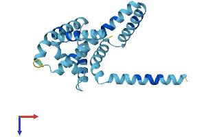 ARL6IP1 Protein (AA 1-203) (His tag)